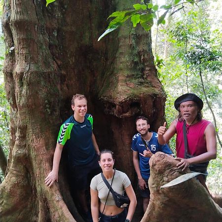 Jhony'S Backpacker-Guest House Only Stay Here Book Treking With Us Bukit Lawang Exteriör bild