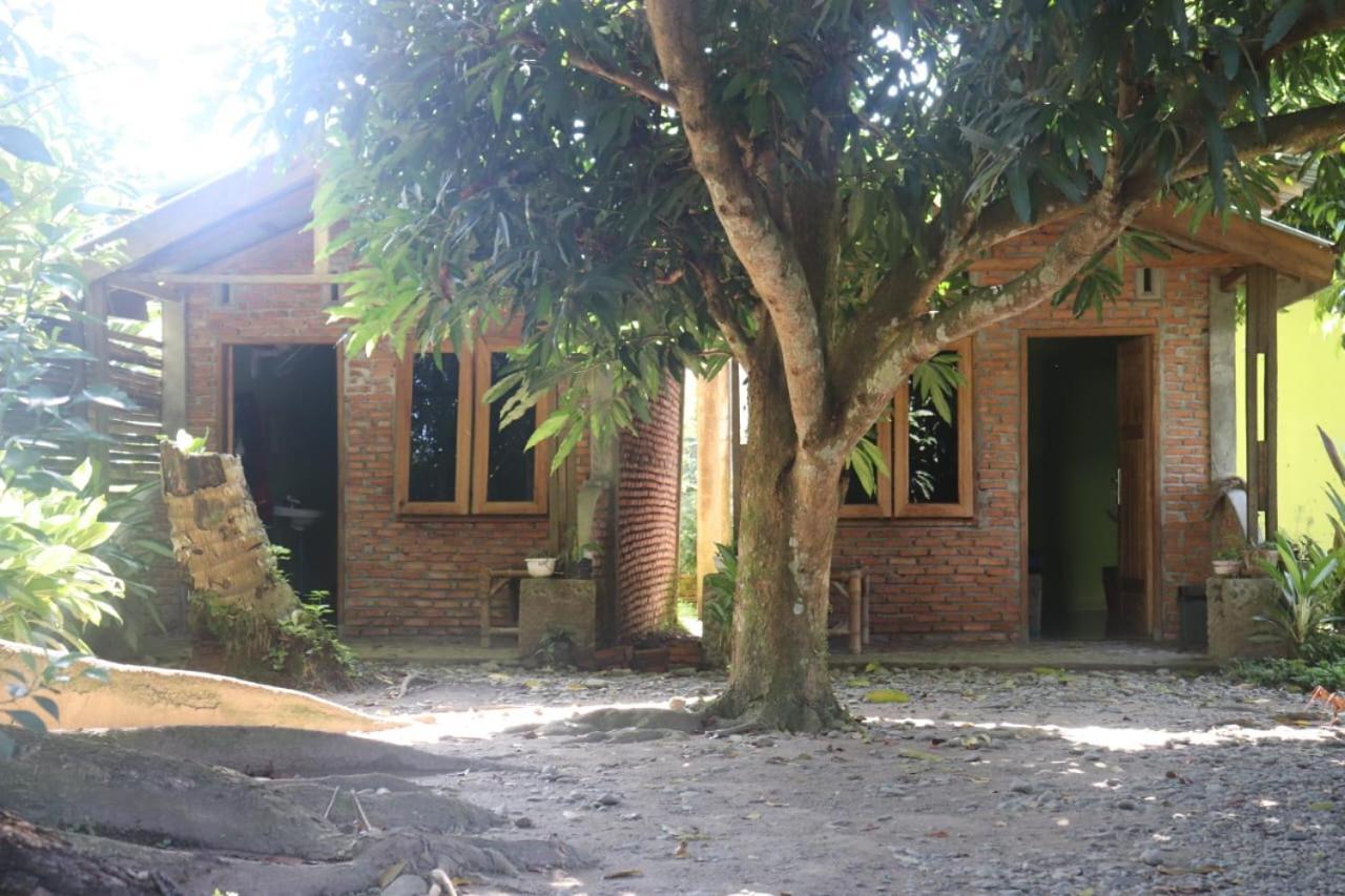 Jhony'S Backpacker-Guest House Only Stay Here Book Treking With Us Bukit Lawang Exteriör bild
