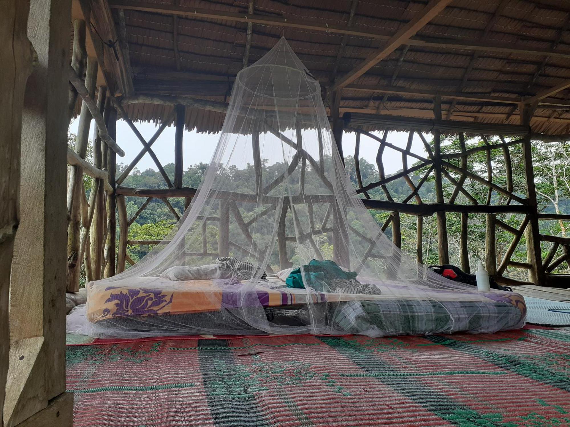 Jhony'S Backpacker-Guest House Only Stay Here Book Treking With Us Bukit Lawang Exteriör bild