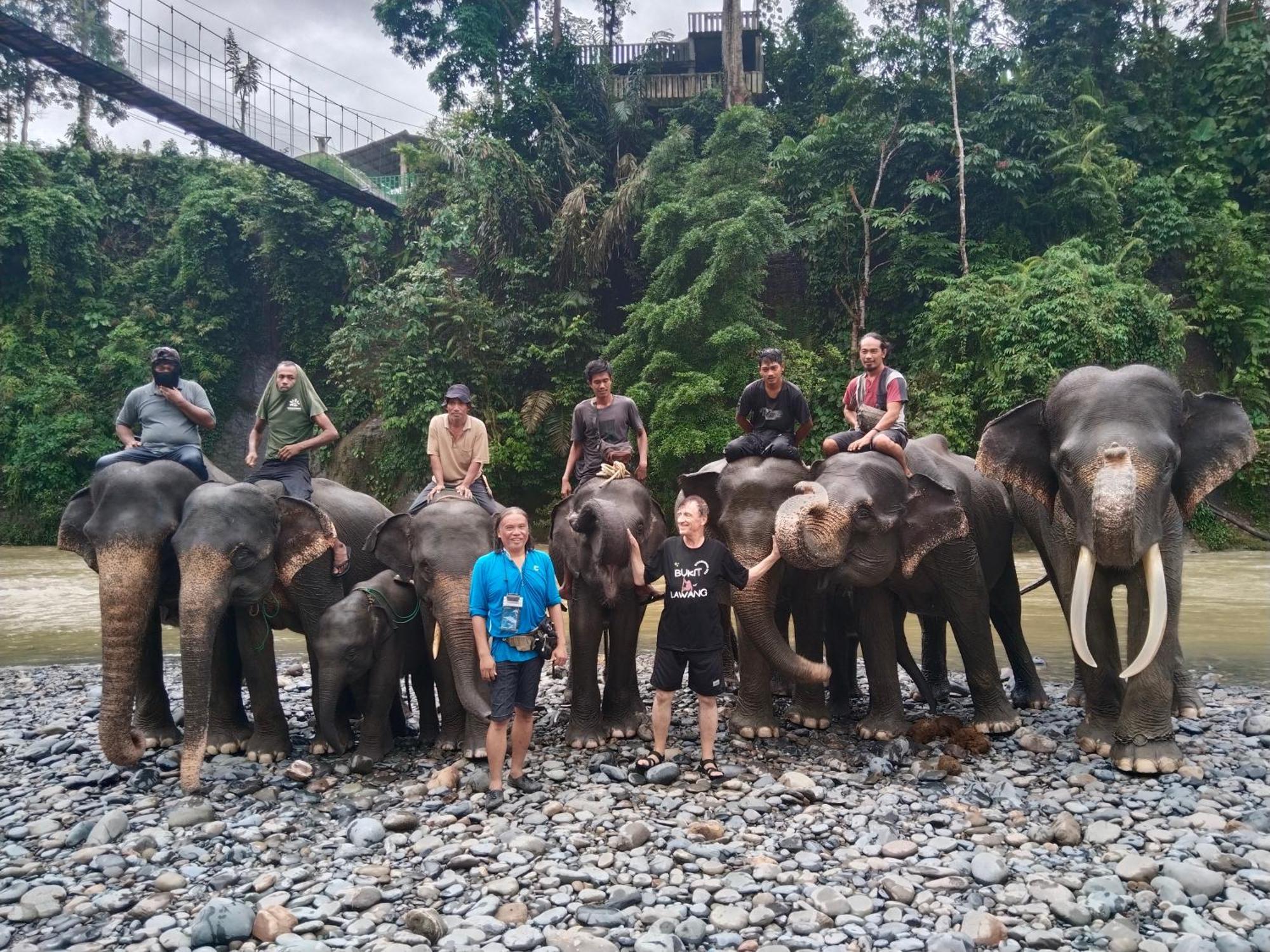 Jhony'S Backpacker-Guest House Only Stay Here Book Treking With Us Bukit Lawang Exteriör bild