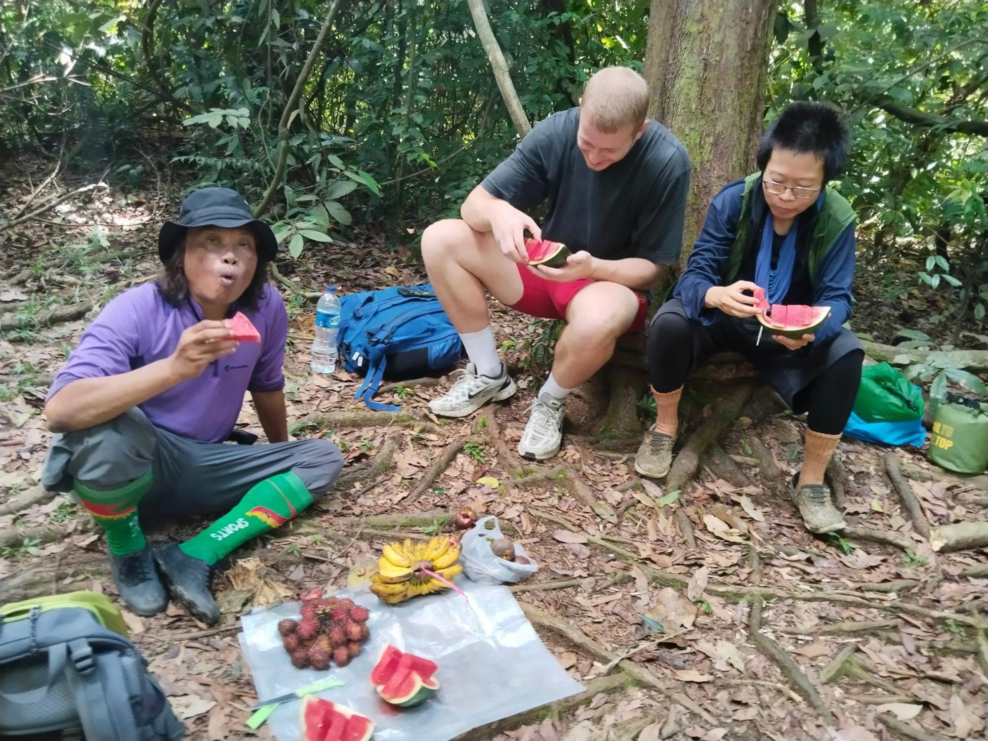 Jhony'S Backpacker-Guest House Only Stay Here Book Treking With Us Bukit Lawang Exteriör bild