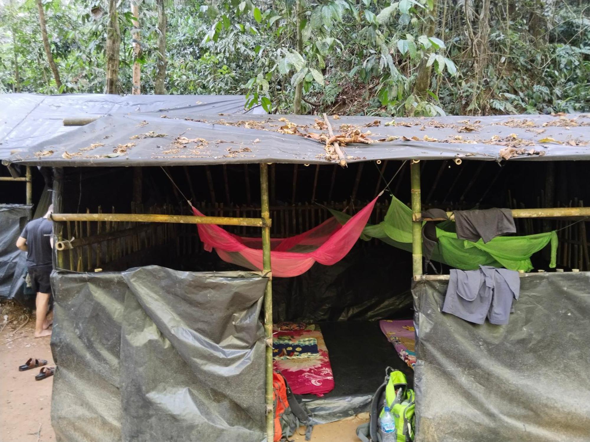 Jhony'S Backpacker-Guest House Only Stay Here Book Treking With Us Bukit Lawang Exteriör bild