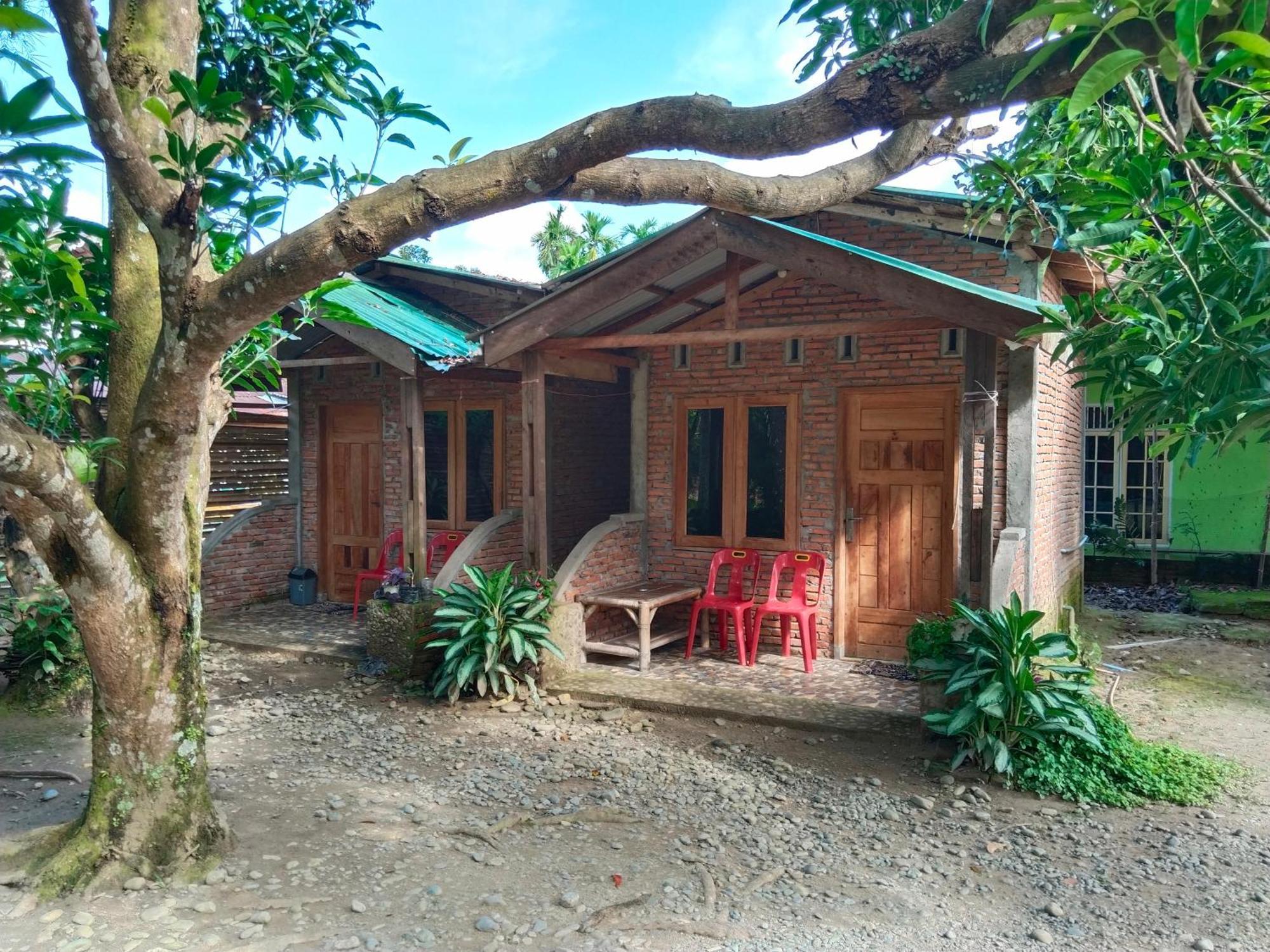 Jhony'S Backpacker-Guest House Only Stay Here Book Treking With Us Bukit Lawang Exteriör bild
